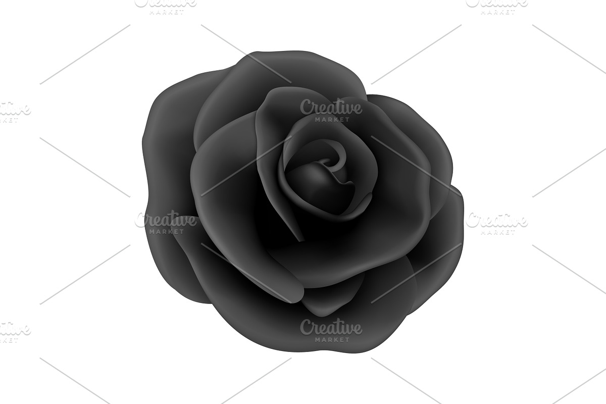 Rose. Vector Set., an Object Graphic by Gomolach (Photo 5 of 6)