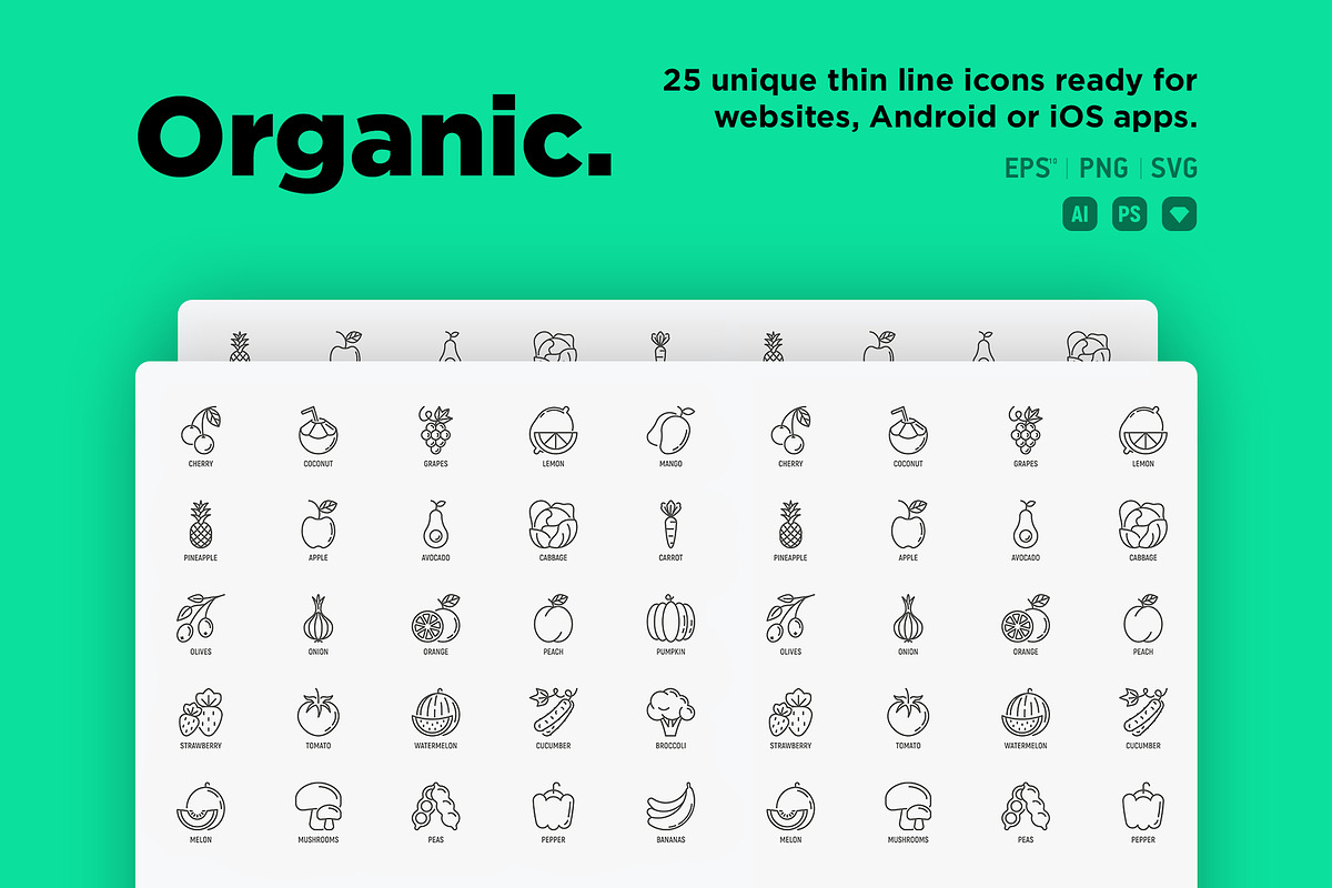 Organic | 25 Thin Line Icons, an Outline Icon by Alex Blogoodf (Photo 2 of 15)