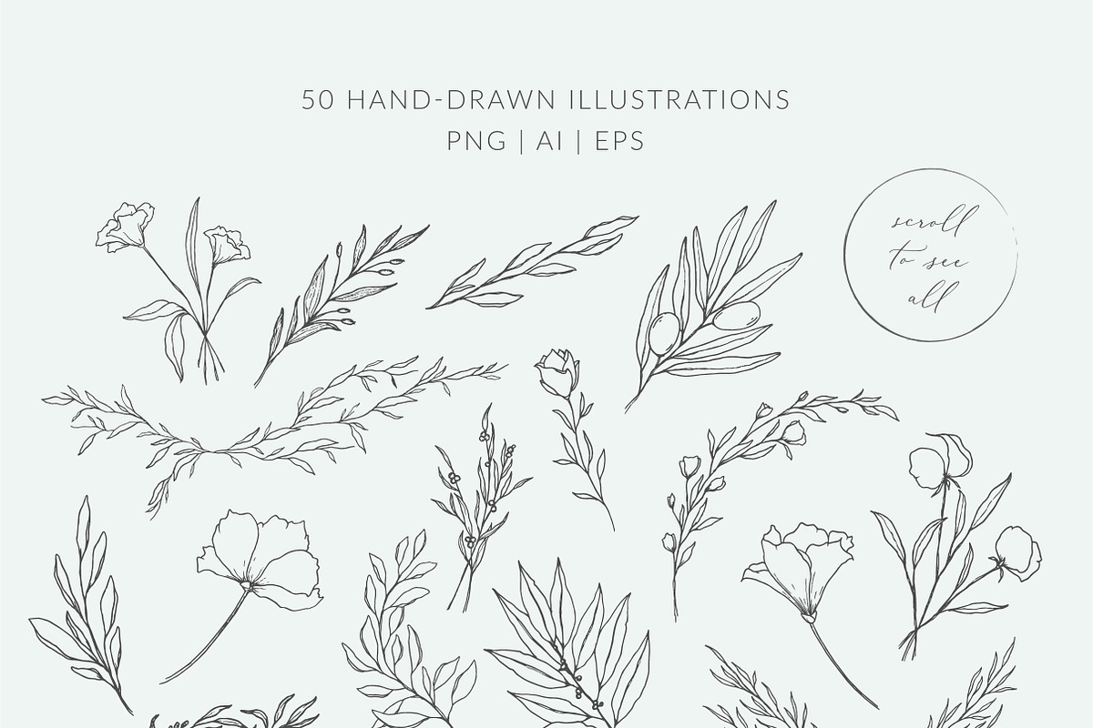 Botanical logos & illustrations preview 2