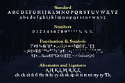 Enchant Font & Extras, a Serif Font by Design 265 (Thumbnail 2 of 5)