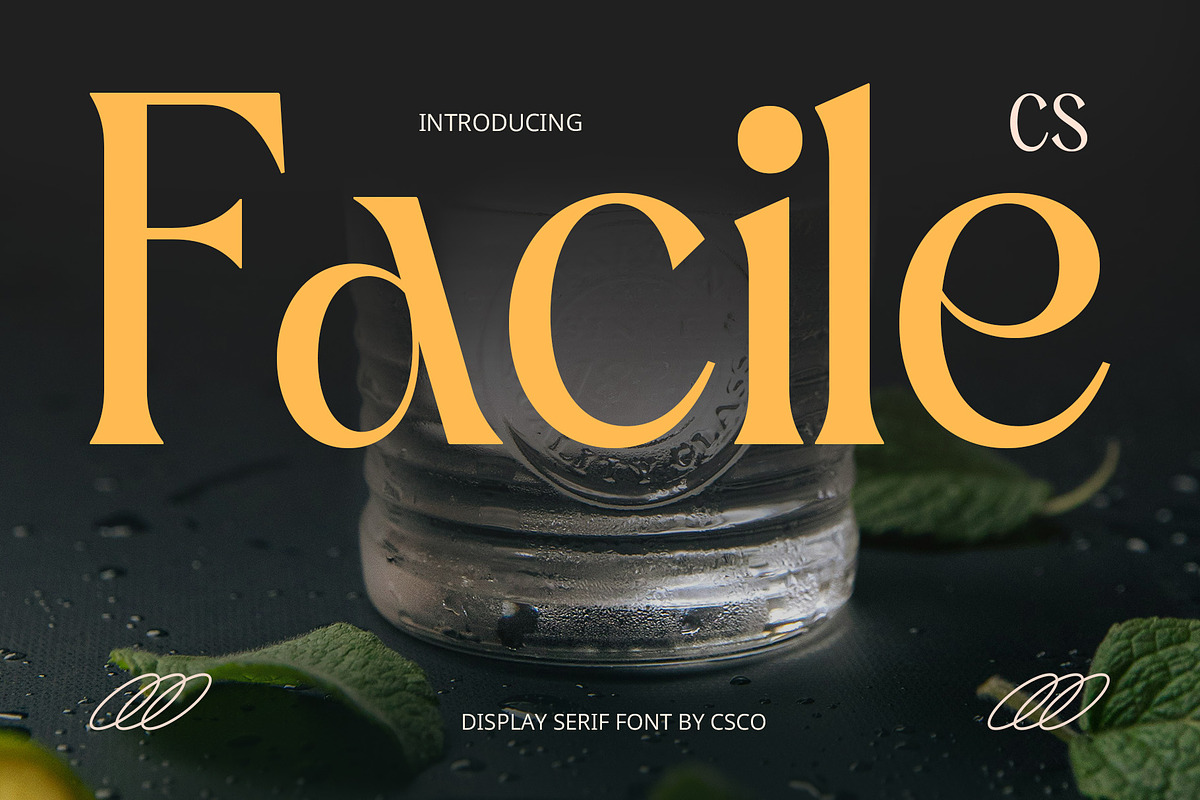CS Facile – Elegant Font, a Serif Font by Craft Supply Co. (Photo 1 of 8)