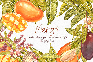 Mango clipart in botanical style