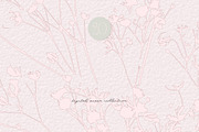 Botanical Background Collection, a Background Graphic by Anna Sokol (Thumbnail 10 of 14)