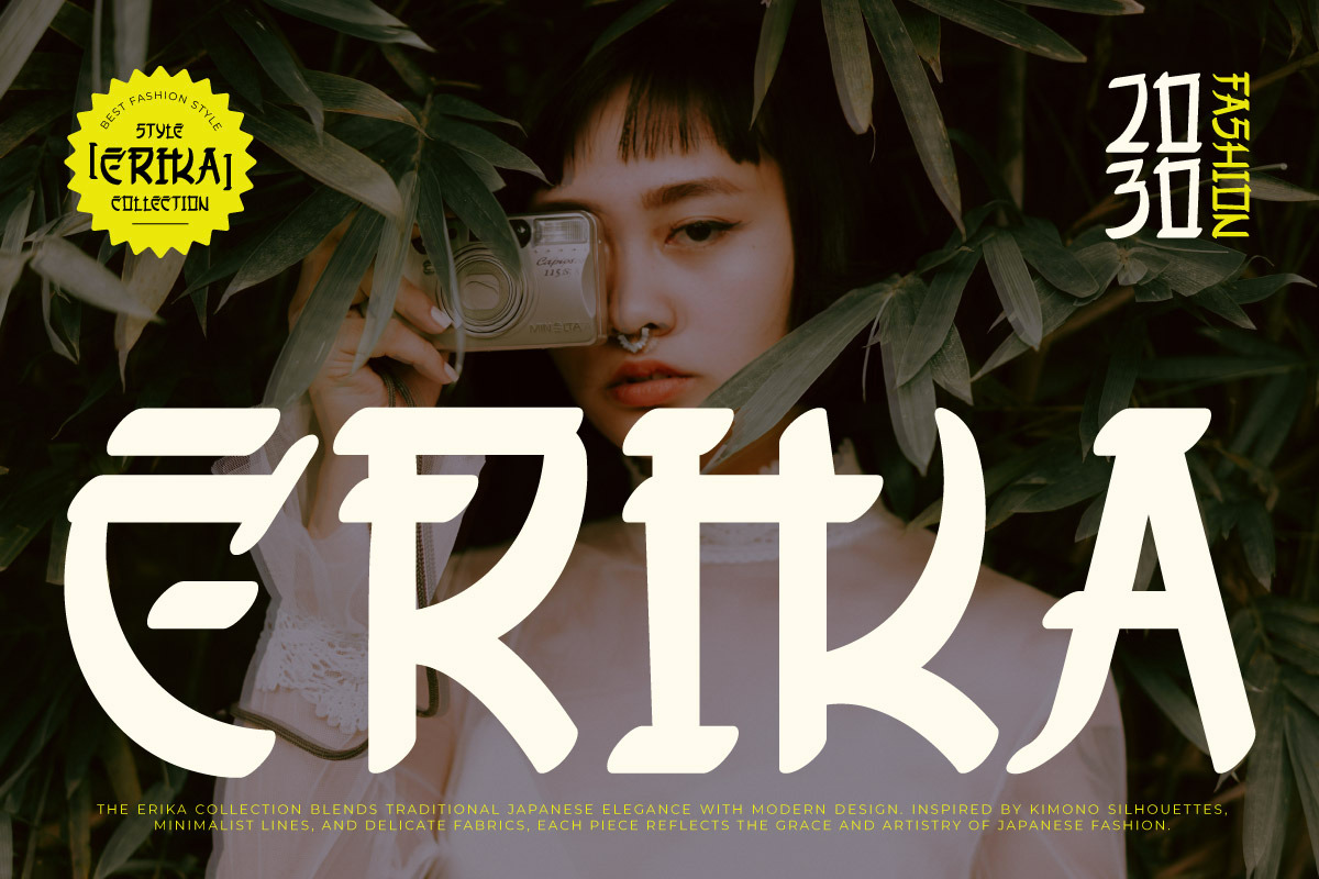 Shirouga - Display Japanese Font, a Handwritten Font by twinstd (Photo 8 of 9)