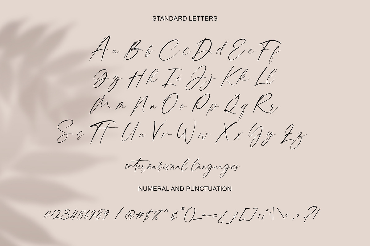 columbia, a Script Font by Teweka (Photo 10 of 12)