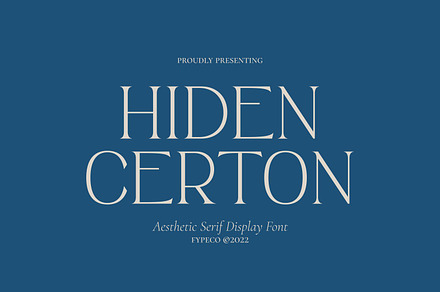 Hiden Certon - Aesthetic Serif Font