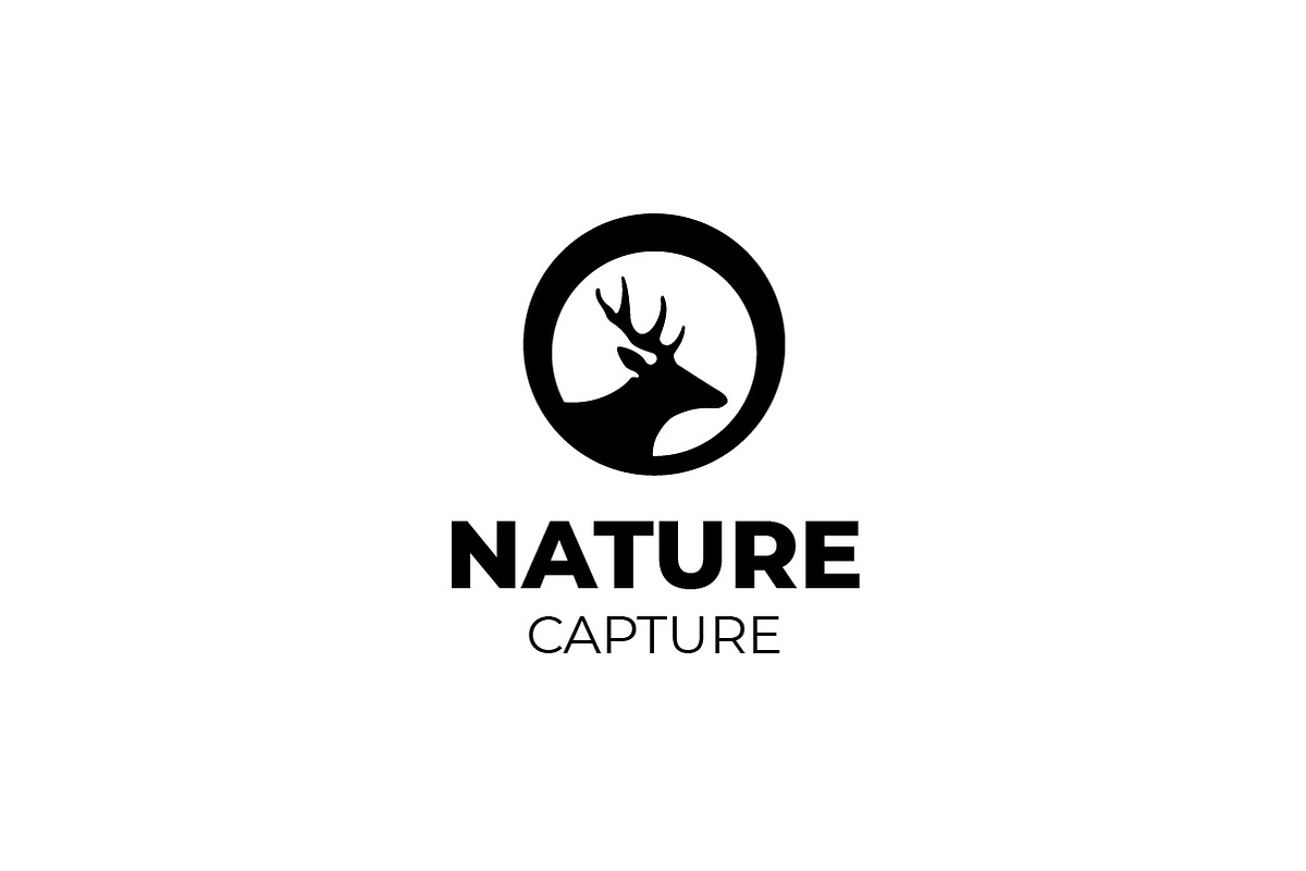 Wildlife Photography Deer Logo, a Branding & Logo Template by bvcreates (Photo 5 of 6)
