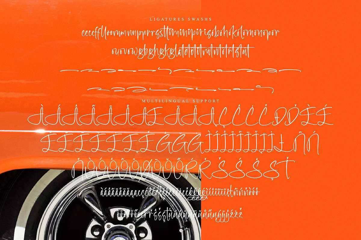 Blisk Orage, a Script Font by operatype.co (Photo 13 of 15)