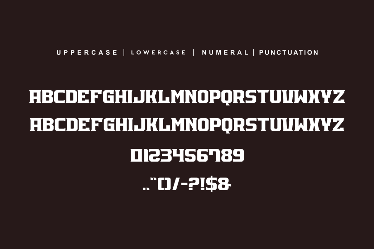 Qulizer, a Serif Font by alon kelakon (Photo 5 of 6)
