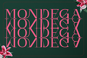 Mondega - Modern Serif Font, a Serif Font by AuthenType (Thumbnail 1 of 11)