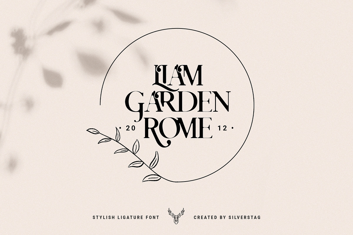 Charles - Chic Ligature Serif Font, a Serif Font by SilverStag Type Foundry (Photo 22 of 31)