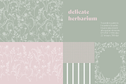 Delicate Herbarium Seamless Patterns, a Pattern Graphic by Maria Budarkiewicz (Thumbnail 1 of 22)