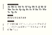 Sacrifice Modern Retro Script Font, a Script Font by Heinzel Std (Thumbnail 7 of 20)