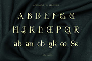 Kangno, a Serif Font by Auliacreative (Thumbnail 3 of 9)