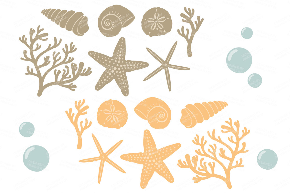 Antique Peach Vector Seashells, an Illustration by Amanda Ilkov (Photo 5 of 5)