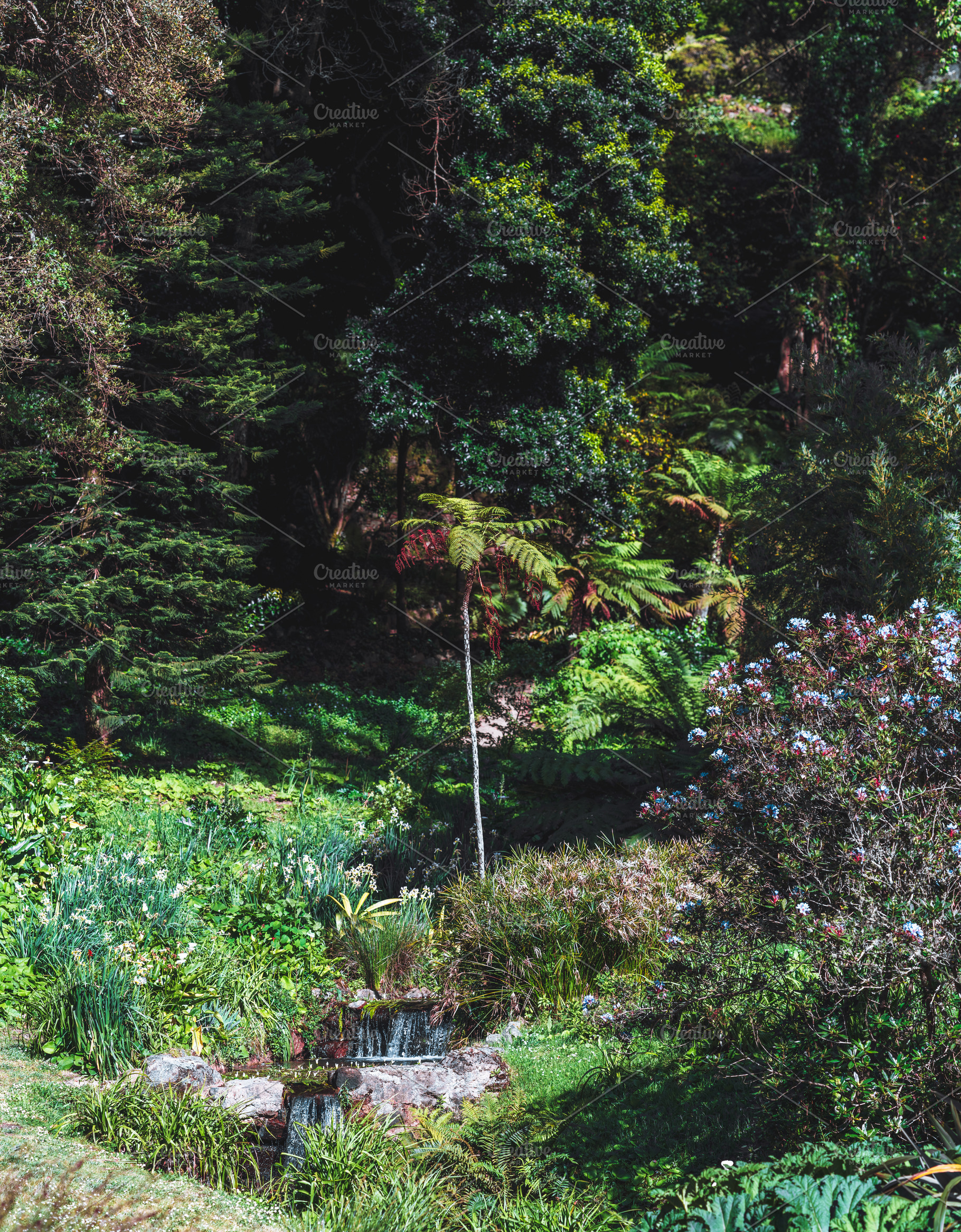 Tropical garden waterfall scene, a Wallpaper Photo by SkyNext