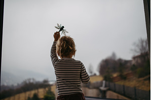 Cute toddler boy is playing with, a Person Photo by HalfPoint