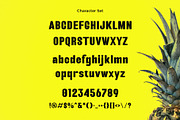 Riglane - Modern Bold Sans, a Sans Serif Font by TypeLogue (Thumbnail 5 of 5)