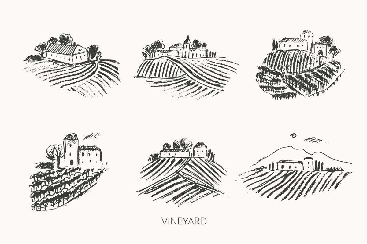 Vineyard logo set, an Object Illustration by katya.bogina