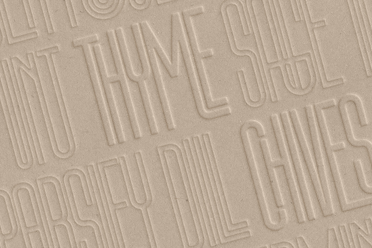 First Contact - 16 Fonts in One Pack, a Sans Serif Font by SilverStag Type Foundry (Photo 26 of 30)