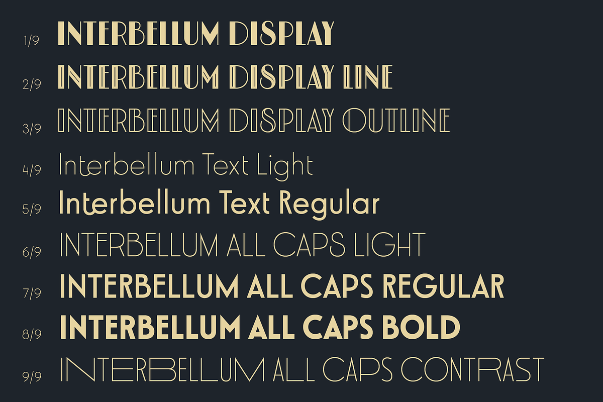 Interbellum Font Family, a Sans Serif Font by Punch (Photo 11 of 11)