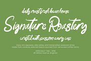 Paradise Coastal Modern Handwritten, a Handwritten Font by AmorfaType (Thumbnail 3 of 8)