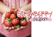 Farmer Font, a Script Font by Fonts & Printables (Thumbnail 2 of 5)