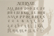 Novera Balessa - Modern Elegant, a Serif Font by Qweera Studio (Thumbnail 10 of 12)
