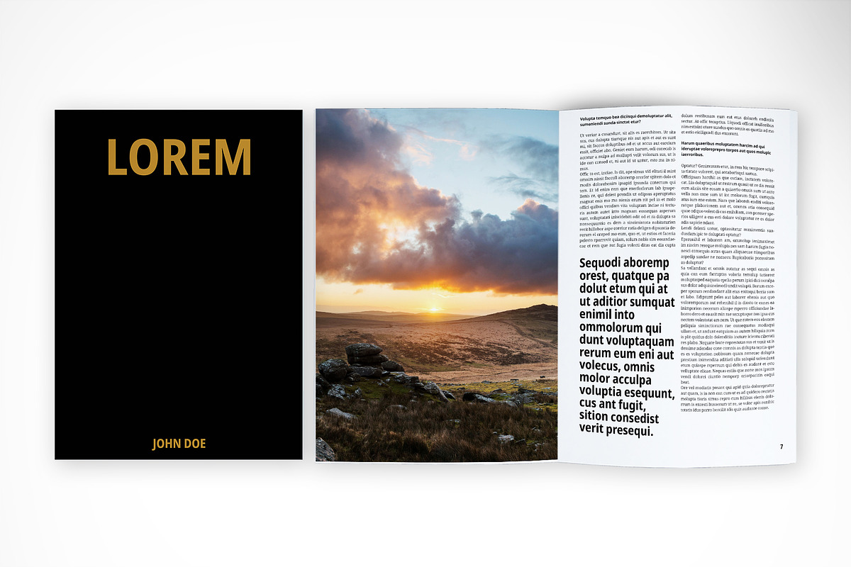 Minimalist Black & Gold Magazine, a Magazine Template by McLittle Stock (Photo 5 of 5)