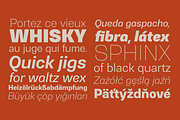 Gerlach Sans Complete Pack, a Sans Serif Font by Juraj Chrastina (Thumbnail 5 of 5)