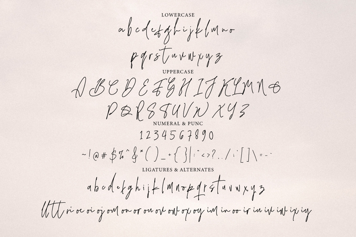 Qinderia - Handwritten Signature, a Script Font by tebaltipislab (Photo 7 of 10)