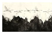 Gret Collection · Egrets in Flight, an Animal Illustration by milatovar (Thumbnail 11 of 17)