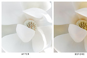 Natural Lightroom Mobile Preset, an Action Add-On by Lux Light (Thumbnail 5 of 28)