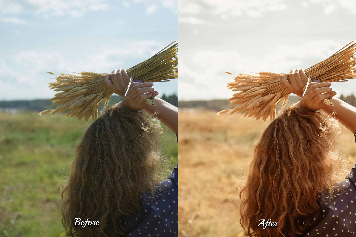 30 Harvest LUT Collection