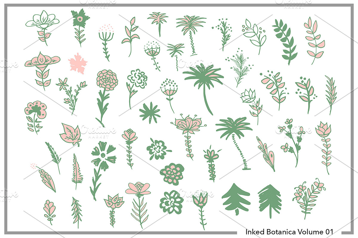 Botanical Plant & Floral Mega Bundle, an Object Graphic by kristiangallagher (Photo 2 of 3)