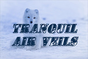 Bold and Brave Typography, a Serif Font by Ink & Pixel Dreams (Thumbnail 4 of 4)