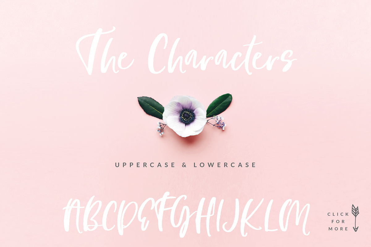 Pink Berries Script font + Extras preview 2