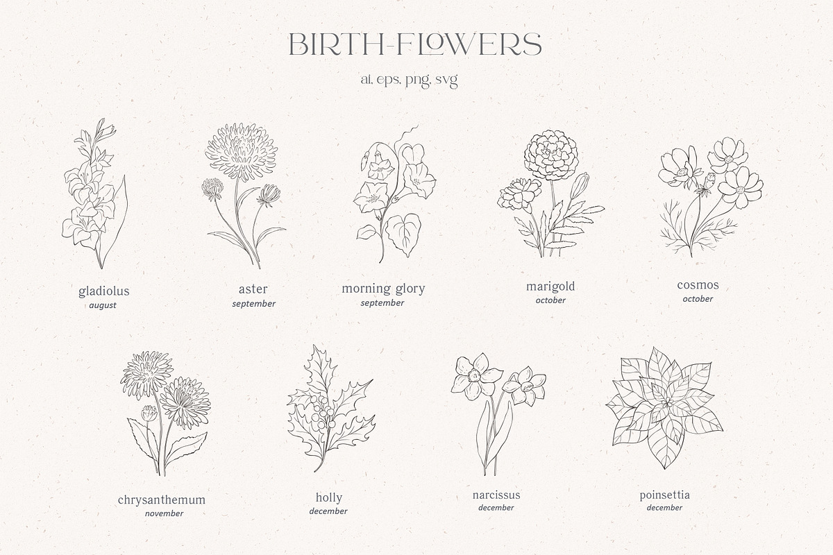 Birth-Flowers. Watercolor & Line Art, a Decorative Illustration by Designwork (Photo 10 of 14)