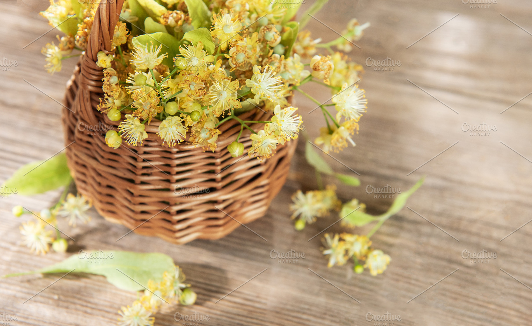 Linden flowers in wicker basket for herbal tea, a Nature Photo by Olena Rudo