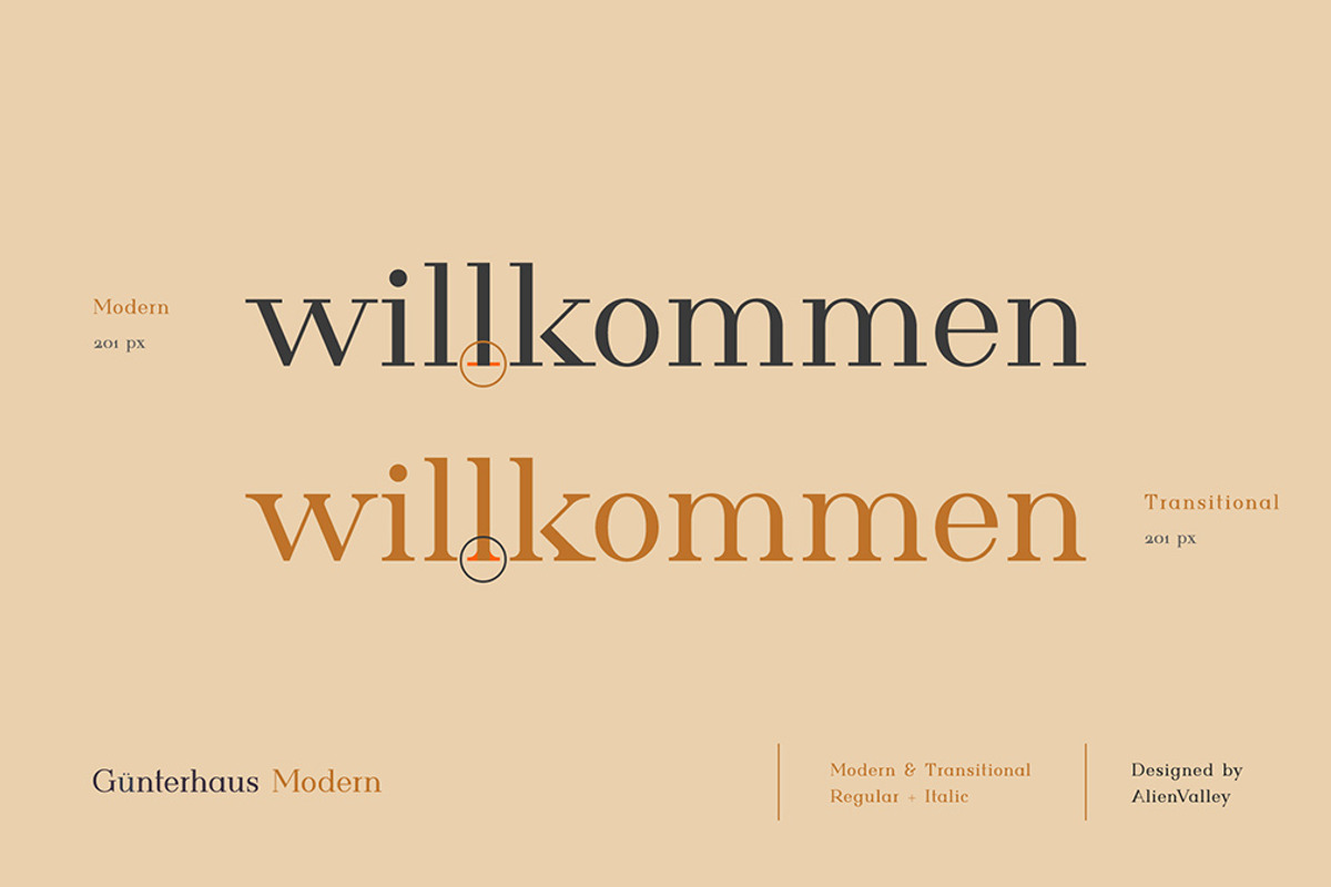 The Versatile Font Bundle, a Sans Serif Font by AlienValley (Photo 27 of 141)
