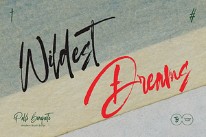 Pablo Bonaparte Modern Brush Script