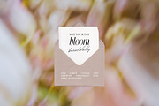 Soft Floral Spring Blur Backgrounds, a Background Graphic by eclosque (Thumbnail 20 of 48)