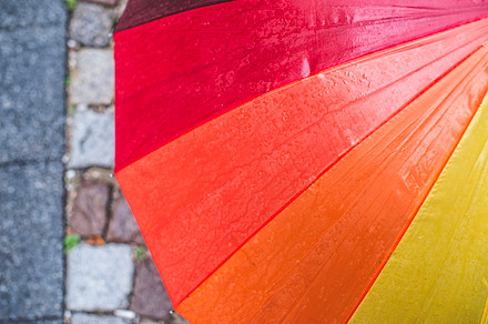 Multicolored umbrella featuring umbrella, background, and multicolored, an Arts & Entertainment Photo by Deyan Georgiev
