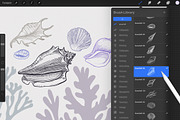 Procreate - Seashell Stamps, a Brush Add-On by ms Julia Nova (Thumbnail 2 of 4)