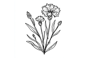 Prompt Botanical Line Art Flower, a Decorative Illustration by Creative design (Thumbnail 7 of 7)