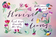 Flowers & Leaves Vector Set, a Decorative Illustration by Moo Graphics (Thumbnail 1 of 6)
