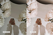 5 Blogger LR Presets + Video LUTs, a Preset Add-On by TheWayfarerShoppe (Thumbnail 7 of 17)