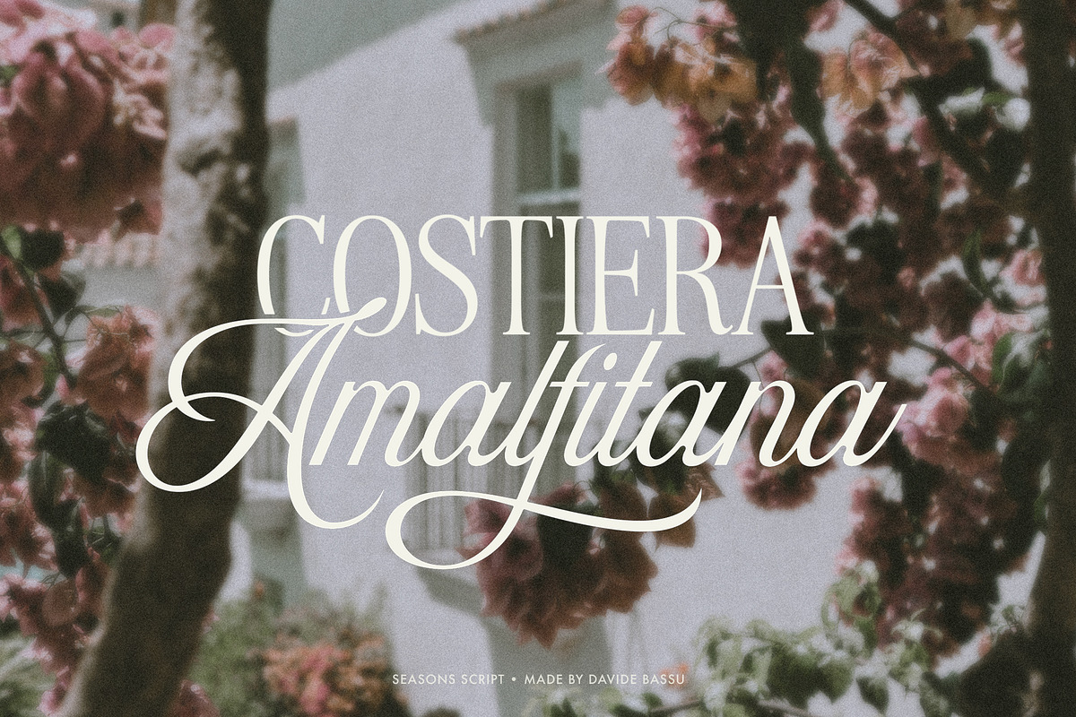 Seasons Script Font | FontCypress