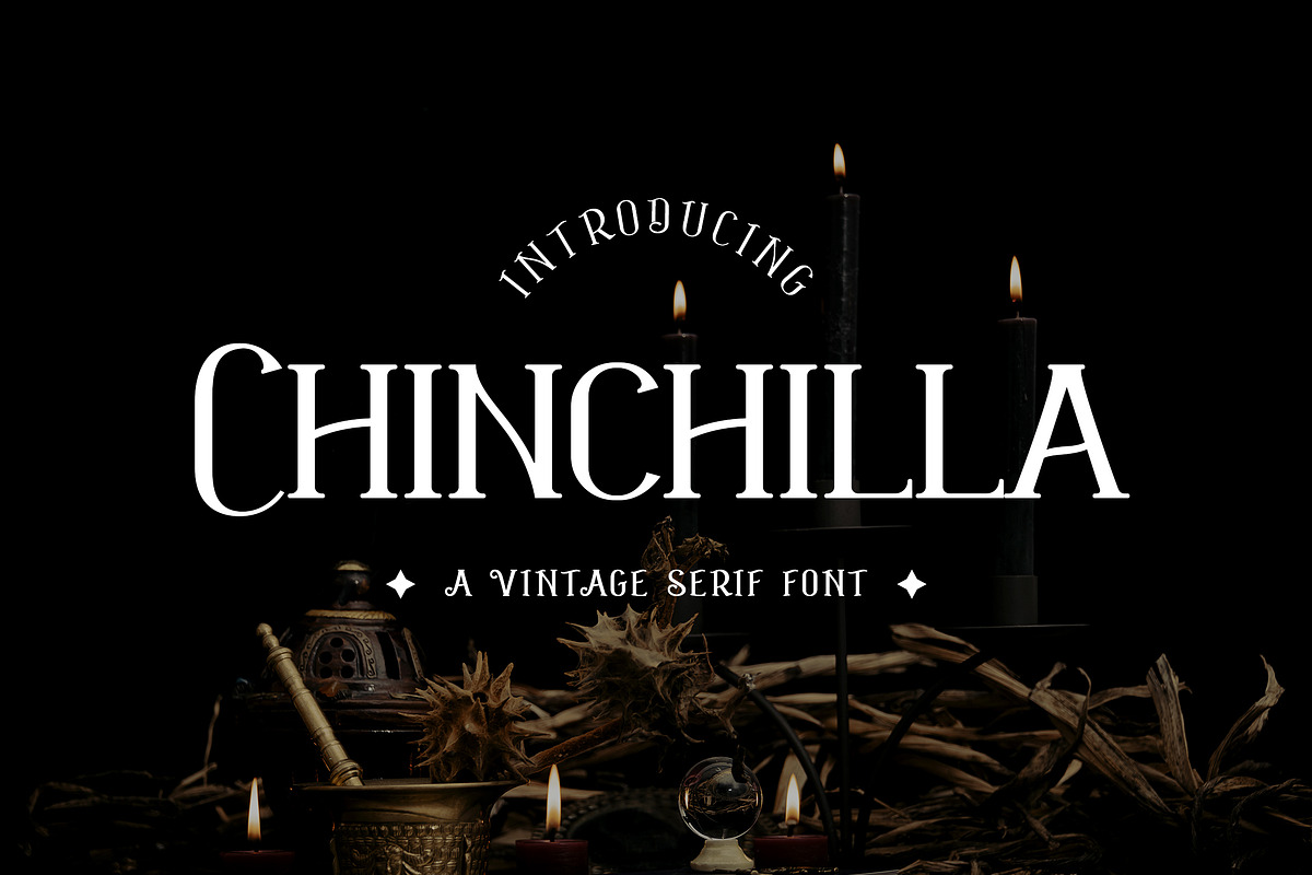 Chinchilla Vintage Serif Font, a Serif Font by UICreative (Photo 1 of 12)