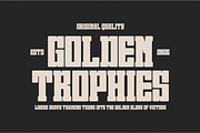 Dreaming Varsity - Condensed Slab, a Slab Serif Font by Pian45 Studio (Thumbnail 13 of 16)